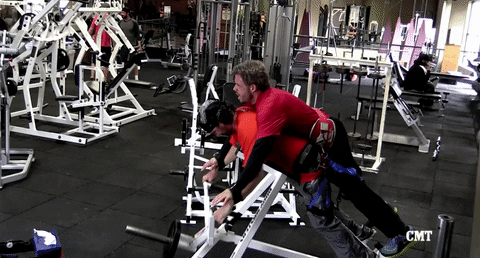 gym working out GIF by The Ed Bassmaster Show