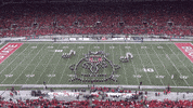 Sesame Street Buckeyes GIF by tbdbitl