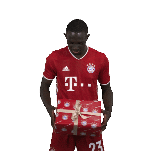 Bayern Christmas Sticker by FC Bayern Munich