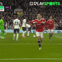 Happy Premier League GIF by Play Sports