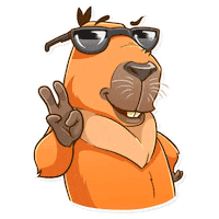 Foz Do Iguacu Fun Sticker by Instituto Polo Iguassu