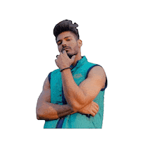 Roadies Rathee Sticker