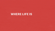 New York Fashion Week GIF by NYFW: The Shows