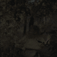 Natal Fabioporchat GIF by Porta Dos Fundos