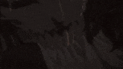 Tybw Quincy GIF