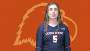 C-N Volleyball GIF by Carson-Newman Athletics