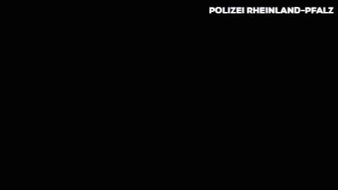 stellenangebote polizei rlp