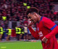 Psg GIF