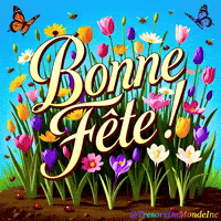 Papillons GIF by TresorsDuMonde.ca