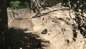 jump jumping GIF by Sosto Zoo