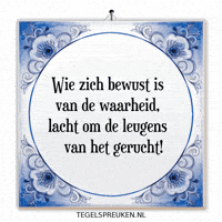 Troost Reflectie GIF by Tegelspreuken.nl