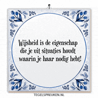 Humor Nl GIF by Tegelspreuken.nl