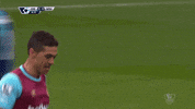 premier league soccer GIF by West Ham United