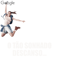 viajanogoogle Sticker by Google