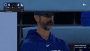 Angry Chicago Cubs GIF