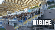TytaniLublin sport lublin mecz kibice GIF