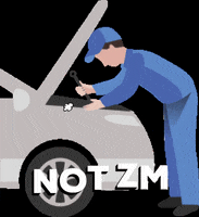 curtirzm brusque somoszm zmsa notzm GIF