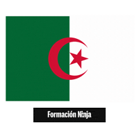 Algeria Flag Sticker by Formación Ninja