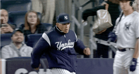 megrowler giphyupload GIF