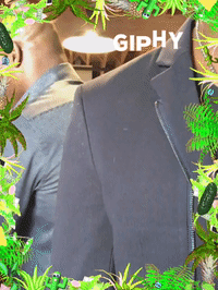 lightspeed nextplaycapital GIF