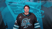 Saluting San Jose GIF by San Jose Barracuda