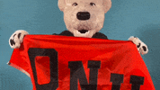 Hooray Gameday GIF by Ohio Northern University