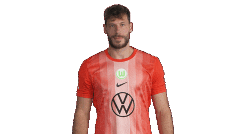 Germany Deal With It Sticker by VfL Wolfsburg