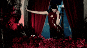 dance give me more GIF by Tara McDonald