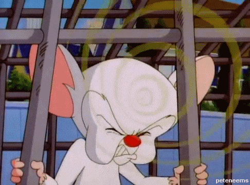 Warner Bros 90S GIF