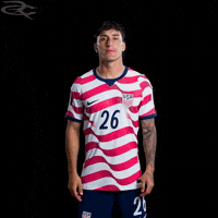Fifa World Cup Usa GIF by Respective