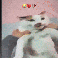Kok GIF