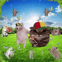 Happy Cat GIF by Respective
