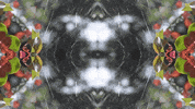 Art Love GIF by jorgemariozuleta