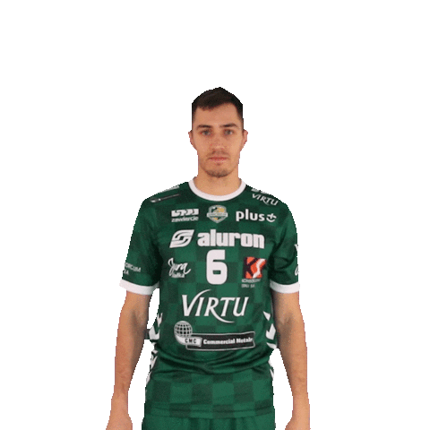 1-0 Virtu Sticker by Aluron CMC Warta Zawiercie