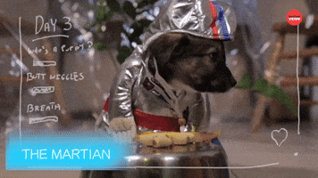 "The Martian" Starring Pups