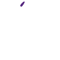 Arrow Sticker by Kazoo Pet