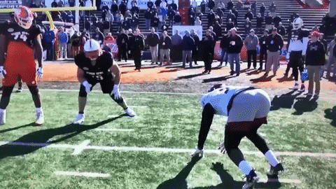 sletizia14 giphyupload GIF