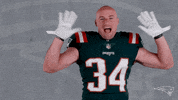 Happy Rex Burkhead GIF by New England Patriots