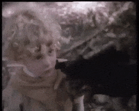 battle for endor wicket GIF by mdleone