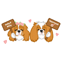 thelittledogpaw cavaliers ckcs kellyriley belespritcavaliers Sticker