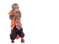 Fun Monkey Sticker