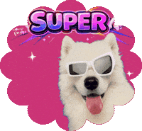 Top Wow Sticker