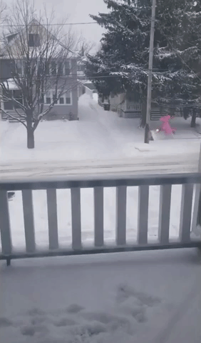 Man in Pink Unicorn Costume Clears Snow