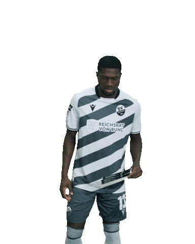 3Liga Sticker by SV Sandhausen