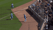 Blue Jays Sport GIF by Toronto Blue Jays