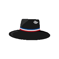 Chile Fiestaspatrias Sticker by San Camilo