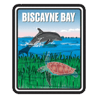 Biscayne Bay Sticker by FLDEP