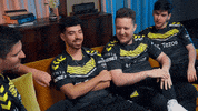 Esports Vitality GIF by BLAST