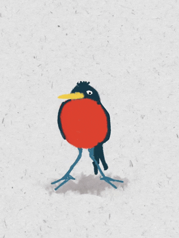 Round Robin Bird GIF by Kimmy Ramone