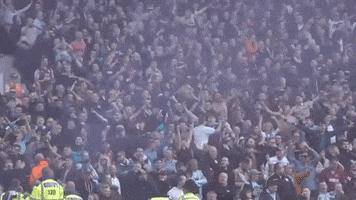 Fans Cheer GIF by Aston Villa FC
